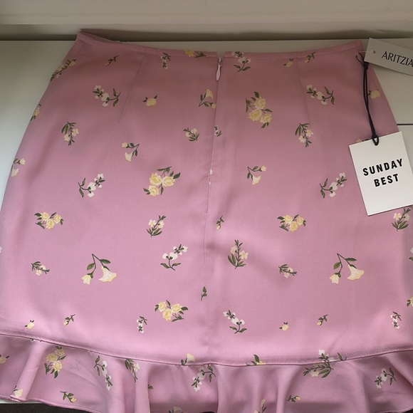 Aritzia Pink Floral Skirt - Picture 2 of 5